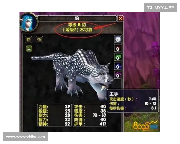 魔兽世界怀旧服：宠物记忆技能重现，探索失落的回忆